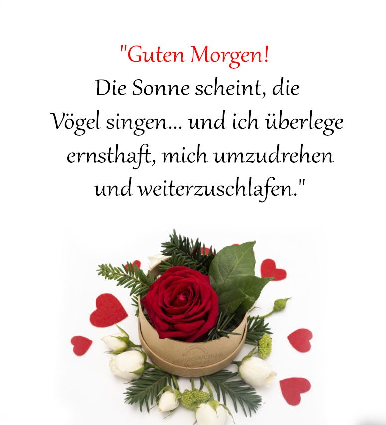Freche guten morgen sprüche und zitate lustig