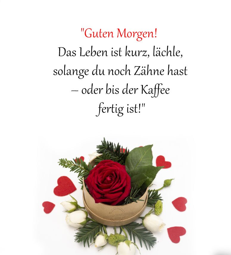 Guten morgen sprüche lustig kostenlos