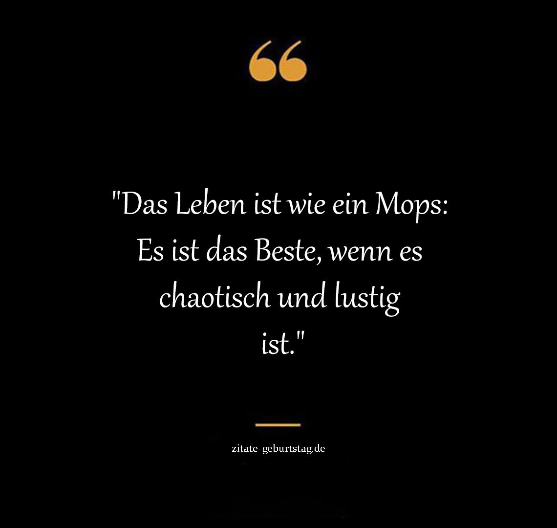 Lustig sprüche & zitate leben