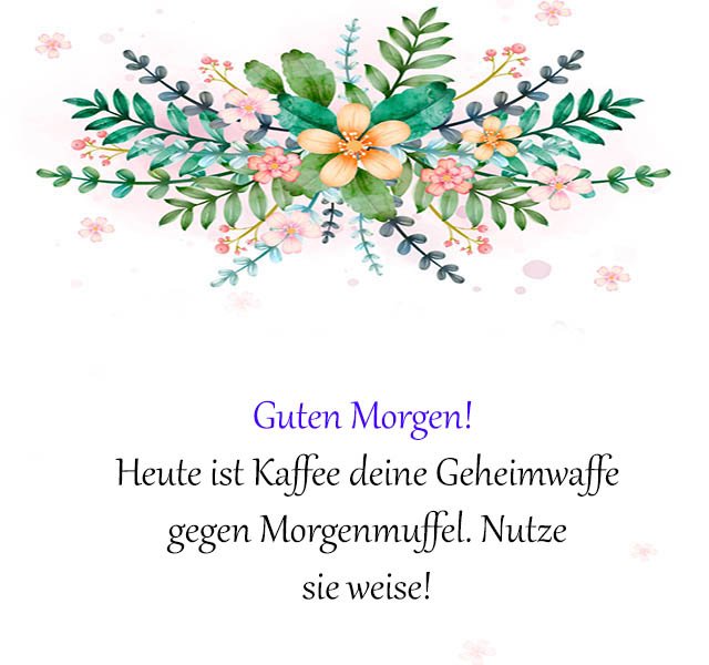 kurz lustig freche guten morgen grüße, lustig freche guten morgen grüße & sprüche, liebe lustige guten morgen grüße & Zitate, whatsapp lustige guten morgen grüße bilder kostenlos, ausgefallen lustige guten morgen grüße,