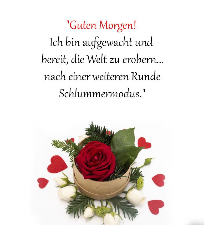 Lustige guten morgen sprüche für whatsapp