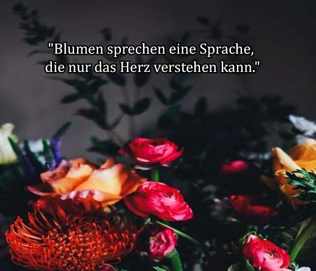 Beste Neue Berühmte Blume Sprüche Und Zitate