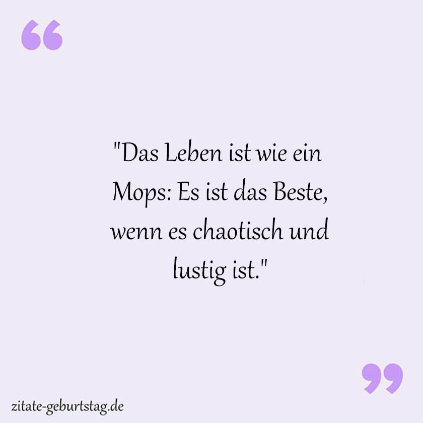 Lustig sprüche & zitate leben