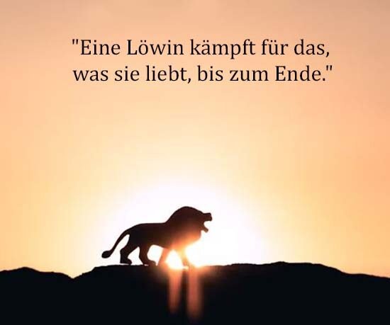 Beste Neue Berühmte Löwin Sprüche Und Zitate