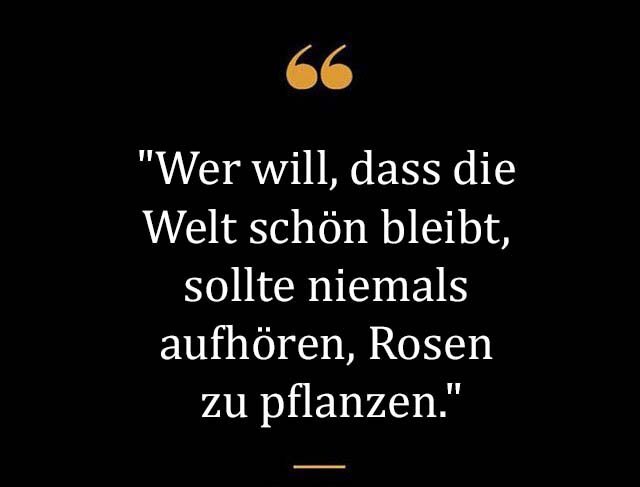 Beste Neue Berühmte Rosa Sprüche Und Zitate