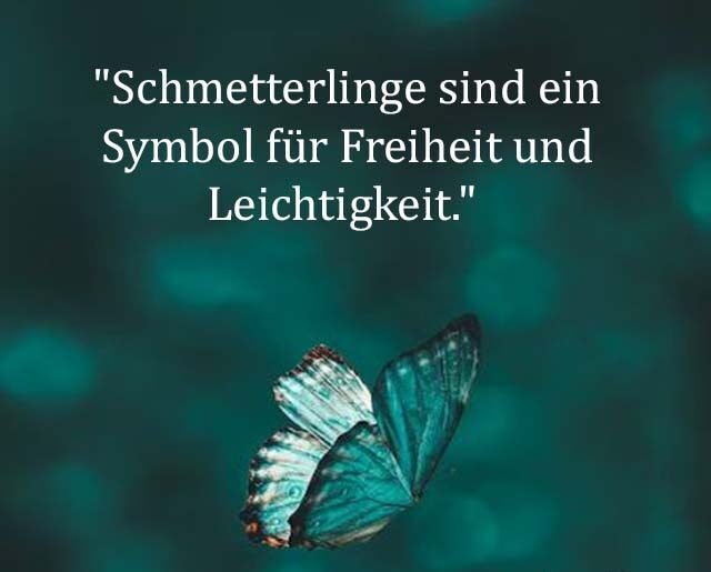 Beste Neue Berühmte Schmetterling Sprüche Und Zitate