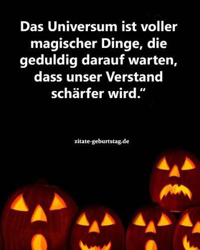 spruchezitate Zitate Geburtstag