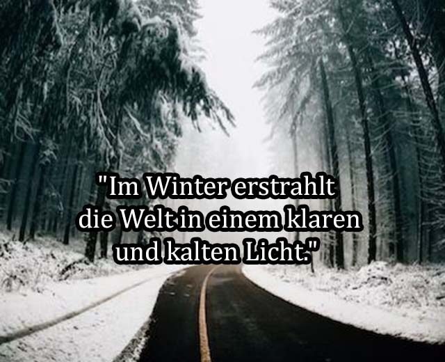 Beste Neue Berühmte Winter Sprüche Und Zitate
