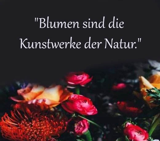 Blume Sprüche Und Zitate