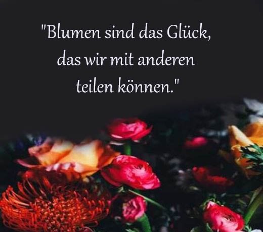 Blume Sprüche Und Zitate