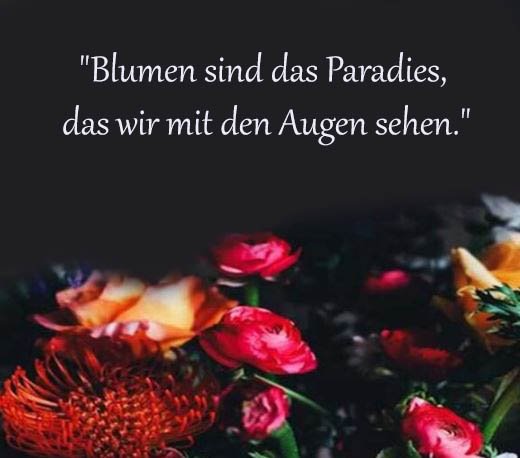 Blume Sprüche Und Zitate