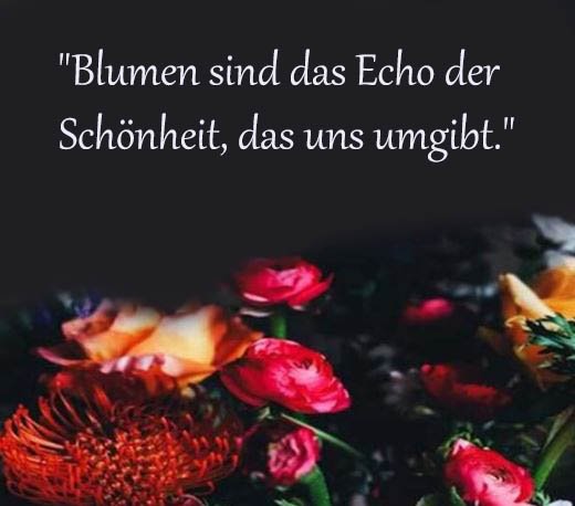 Blume Sprüche Und Zitate
