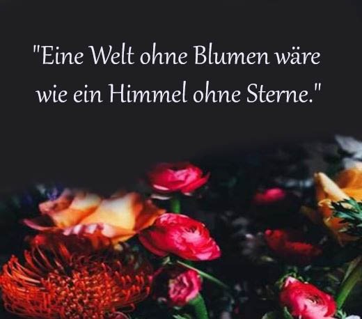 Blume Sprüche Und Zitate