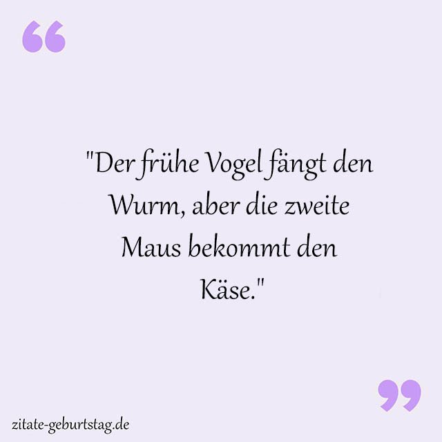Dumm Sprüche Und Zitate