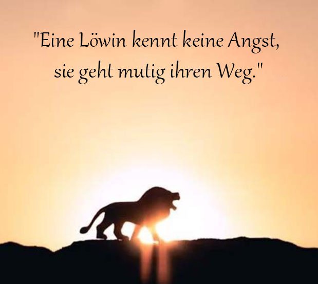 Löwin Sprüche Und Zitate