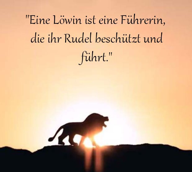 Löwin Sprüche Und Zitate