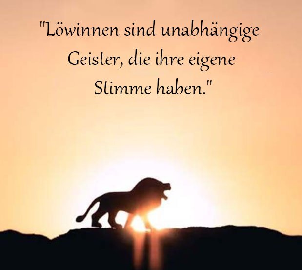 Löwin Sprüche Und Zitate