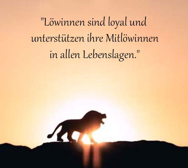 Löwin Sprüche Und Zitate
