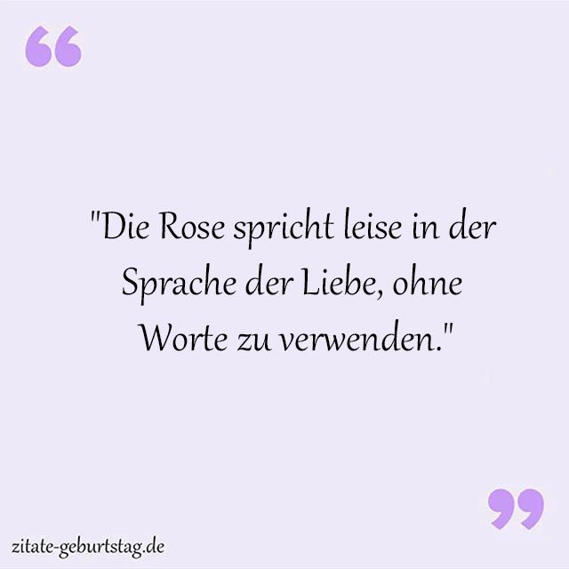 Rosa Sprüche Und Zitate