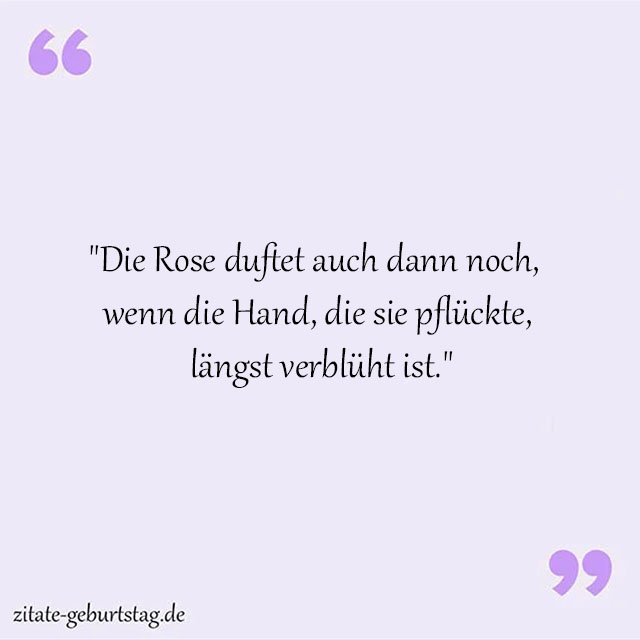 Rosa Sprüche Und Zitate