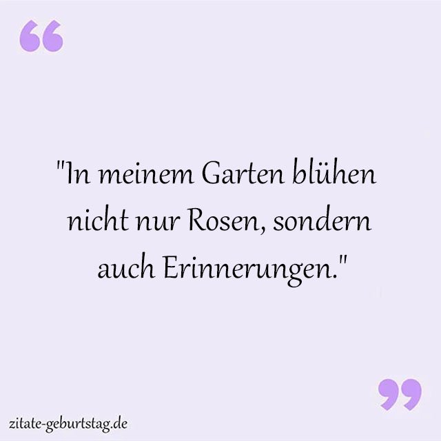 Rosa Sprüche Und Zitate
