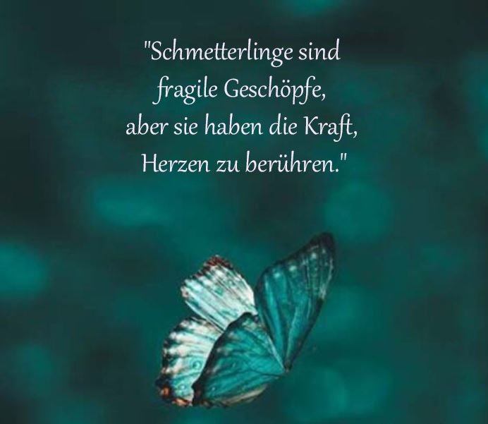 Schmetterling Sprüche Und Zitate