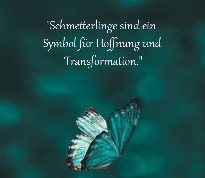 Schmetterling Sprüche Und Zitate