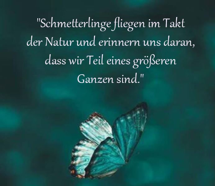 Schmetterling Sprüche Und Zitate