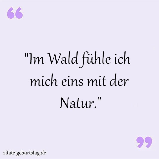 Wald Sprüche Und Zitate