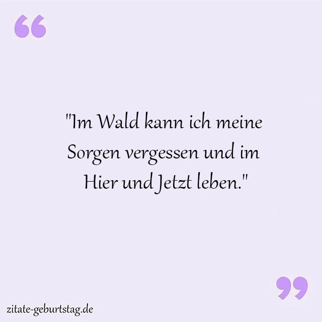 Wald Sprüche Und Zitate