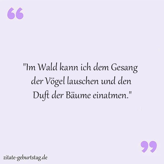 Wald Sprüche Und Zitate