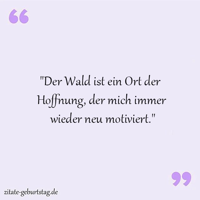 Wald Sprüche Und Zitate