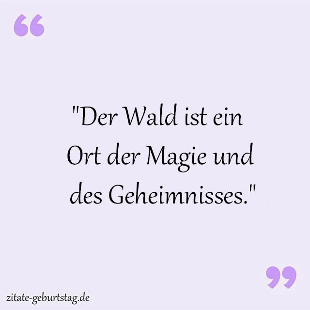 Wald Sprüche Und Zitate